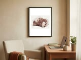 Giraffe framed in a focused room thumbnail