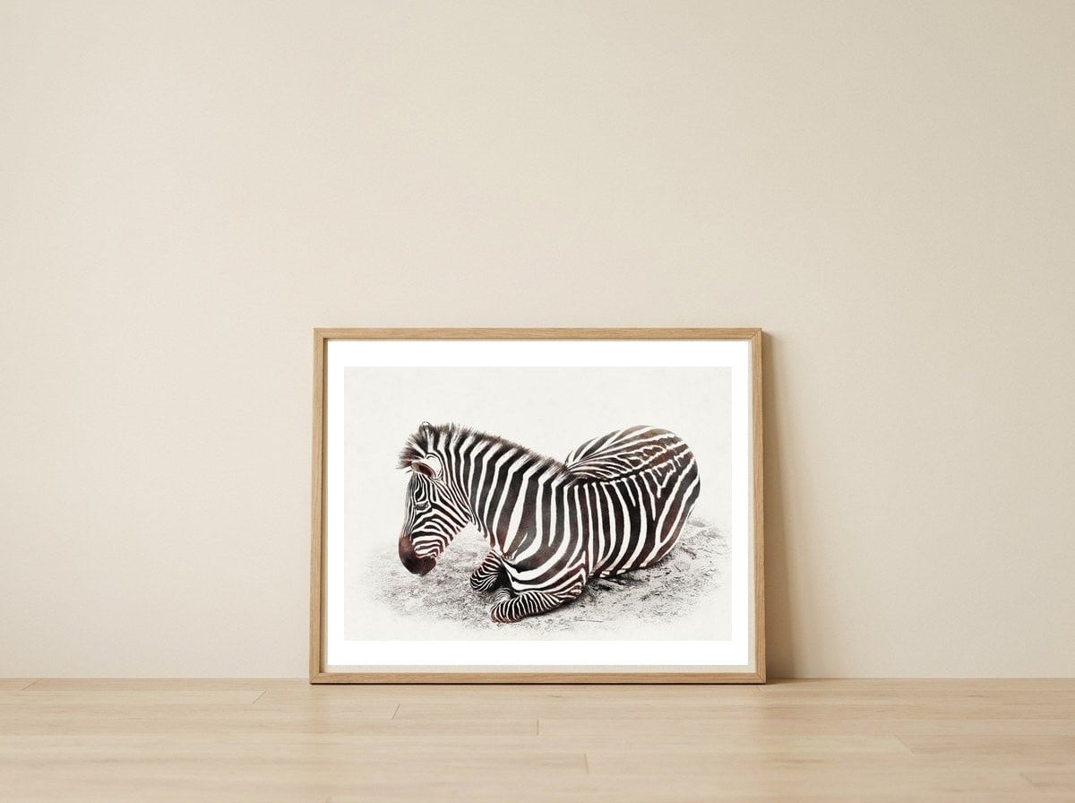 Zebra — framed, leaning against the wall