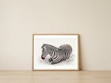 Zebra — framed, leaning against the wall thumbnail