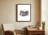 Zebra framed in a focused room thumbnail