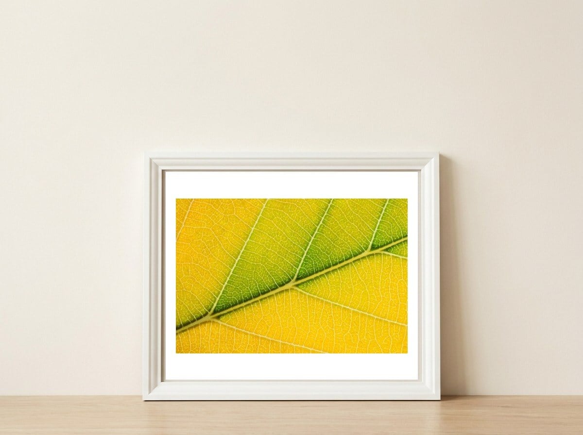 Autumn Leaf — framed, leaning against the wall
