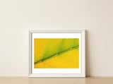 Autumn Leaf — framed, leaning against the wall thumbnail