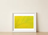 Autumn Leaf — framed, leaning against the wall thumbnail