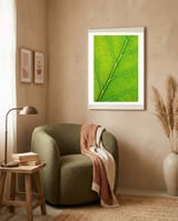 Autumn Leaf framed in a tender room thumbnail