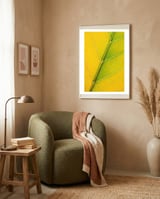 Autumn Leaf framed in a tender room thumbnail
