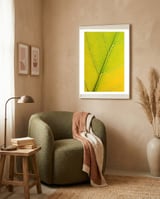 Autumn Leaf framed in a tender room thumbnail
