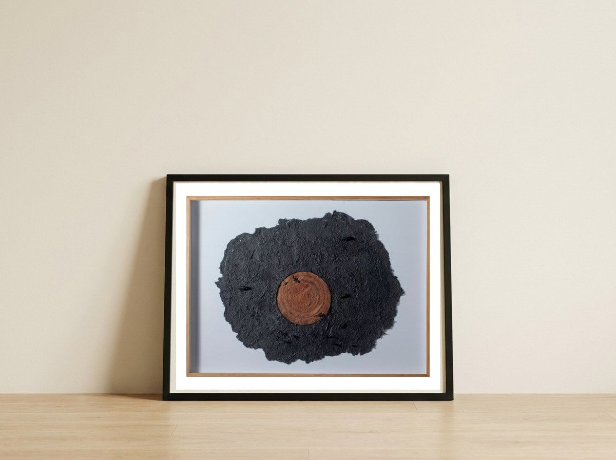 Ecotraces — framed, leaning against the wall