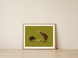 Kiwi (Colour) — framed, leaning against the wall thumbnail