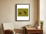 Kiwi (Colour) framed in a focused room thumbnail