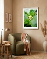 Blossom framed in a tender room thumbnail
