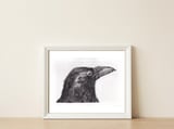 Crow — framed, leaning against the wall thumbnail