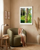 Pink Vine framed in a tender room thumbnail