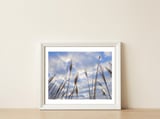 Autumn Grass — framed, leaning against the wall thumbnail