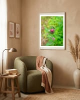 Eye Bud framed in a tender room thumbnail