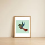 Flying Green-cheeked conure — framed, leaning against the wall thumbnail