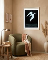 Soar framed in a tender room thumbnail