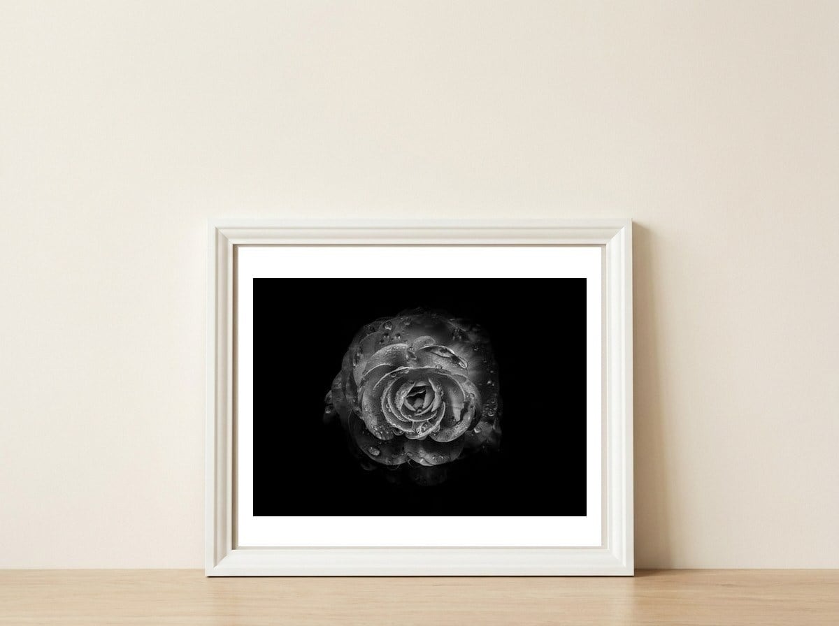 Backyard Flowers In Black And White No 64 — framed, leaning against the wall