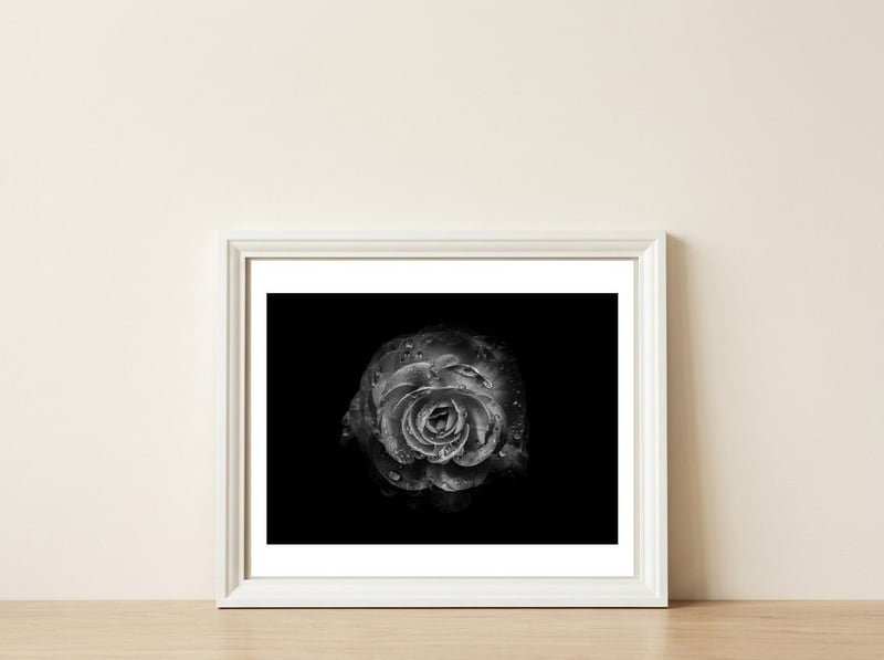 Backyard Flowers In Black And White No 64 — framed, leaning against the wall