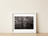 Bute Park, Cardiff  — framed, leaning against the wall thumbnail