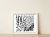 ito 02 — framed, leaning against the wall thumbnail