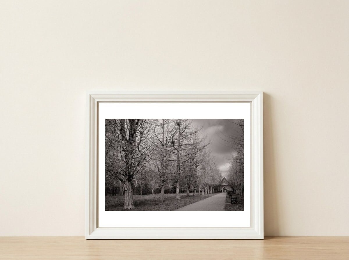 Bute Park, Cardiff — framed, leaning against the wall