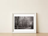 Bute Park, Cardiff — framed, leaning against the wall thumbnail