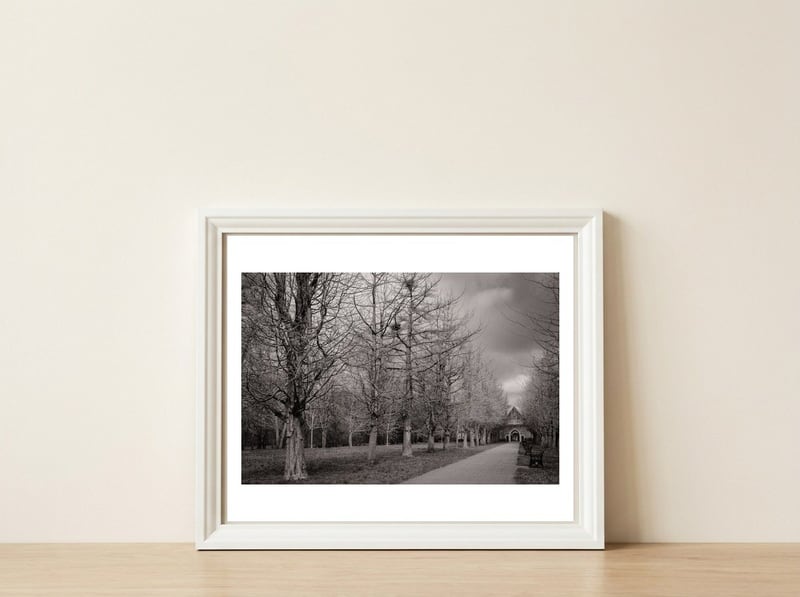 Bute Park, Cardiff — framed, leaning against the wall
