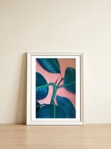 Ficus Elastica — framed, leaning against the wall thumbnail