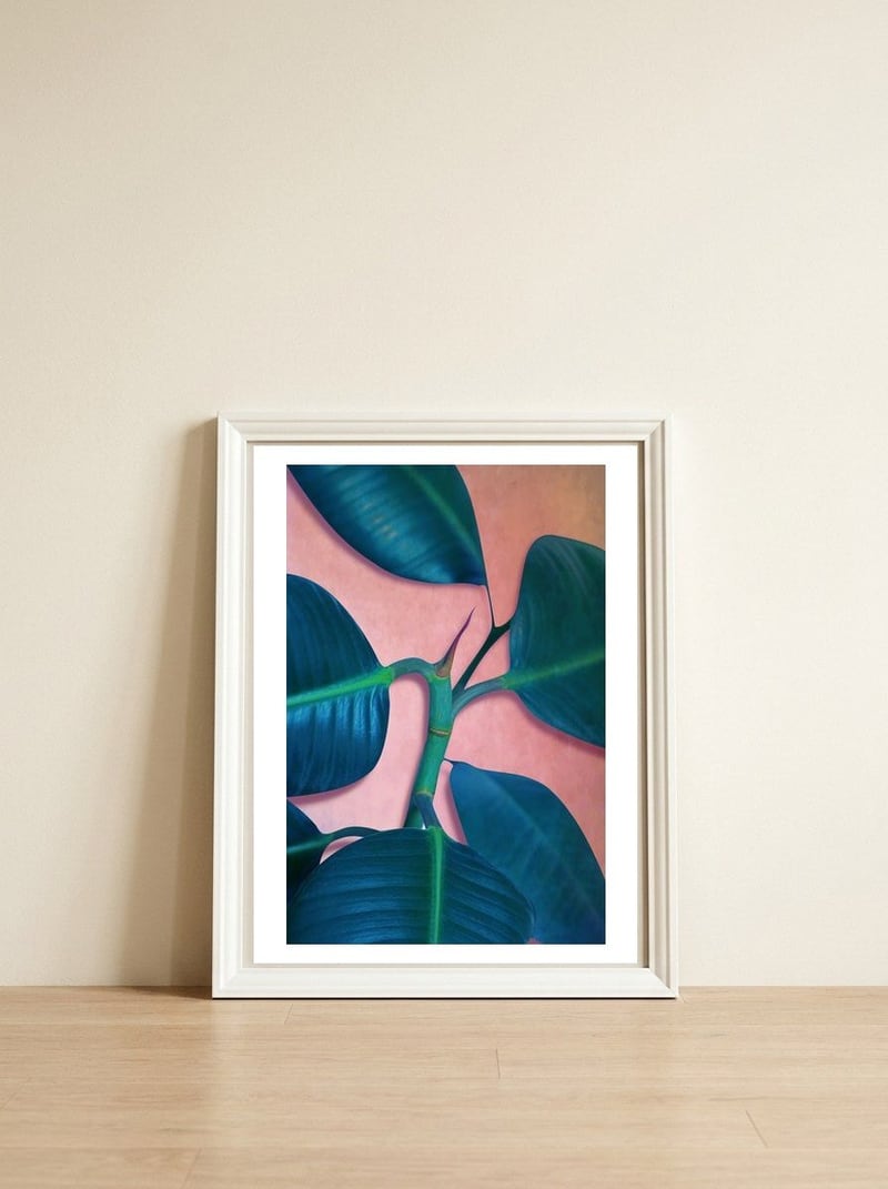 Ficus Elastica — framed, leaning against the wall