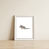 Quoll — framed, leaning against the wall thumbnail
