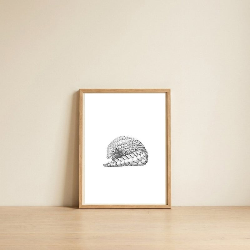 Pangolin — framed, leaning against the wall