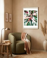 Tropical Variegated Houseplant framed in a tender room thumbnail