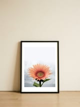 12 — framed, leaning against the wall thumbnail
