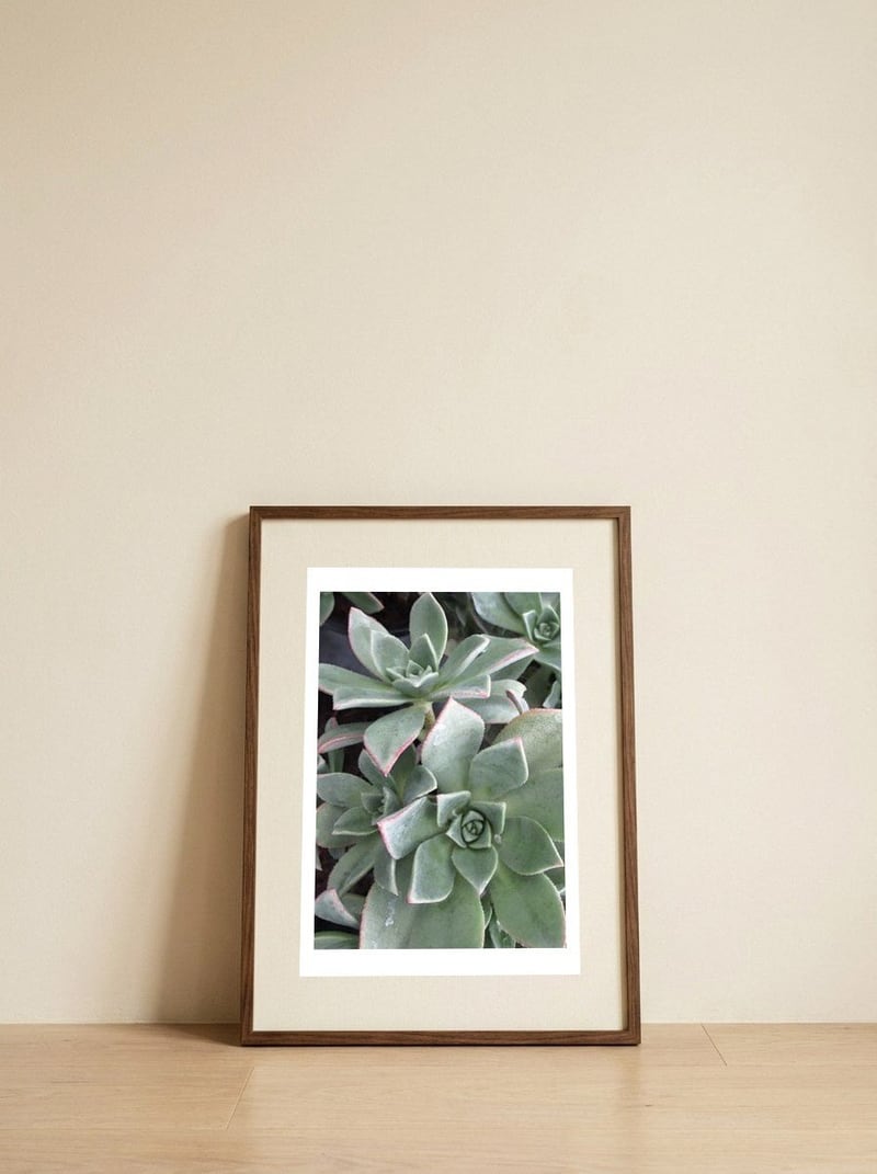 26 — framed, leaning against the wall