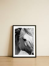 27 — framed, leaning against the wall thumbnail