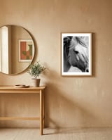 27 framed in a focused room thumbnail