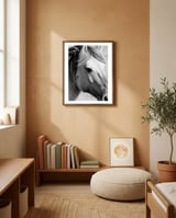 27 framed in a gentle room thumbnail