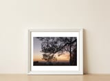 Sunset on Finchampstead Ridges - Berkshire — framed, leaning against the wall thumbnail