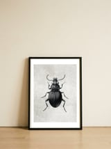 84 — framed, leaning against the wall thumbnail