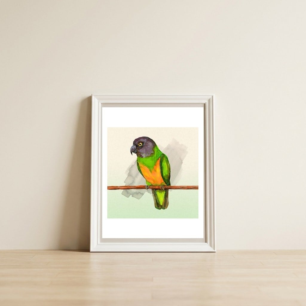 Senegal parrot watercolor — framed, leaning against the wall