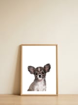 Chihuahua — framed, leaning against the wall thumbnail