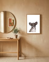 Chihuahua framed in a focused room thumbnail