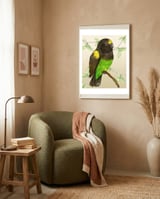  Meyer's parrot watercolor framed in a tender room thumbnail