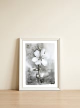White flower — framed, leaning against the wall thumbnail