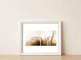 Adagio — framed, leaning against the wall thumbnail