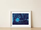 Traume - Hammerton Brewery — framed, leaning against the wall thumbnail
