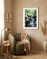 Forest framed in a tender room thumbnail