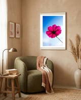 RED FLOWER framed in a tender room thumbnail