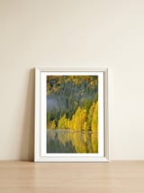 LAKE IN FOREST — framed, leaning against the wall thumbnail
