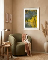 LAKE IN FOREST framed in a tender room thumbnail